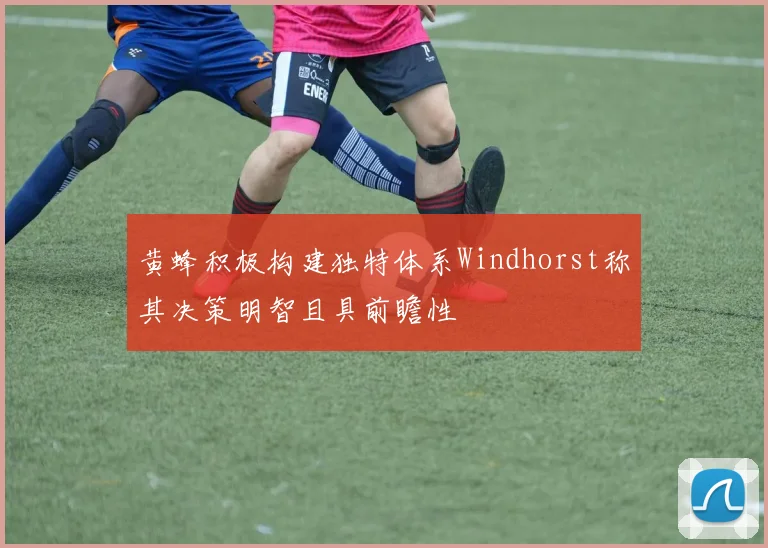 黄蜂积极构建独特体系Windhorst称其决策明智且具前瞻性