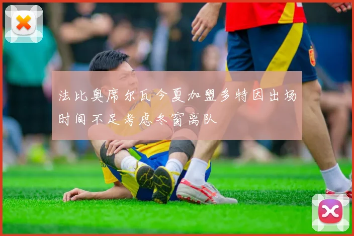 法比奥席尔瓦今夏加盟多特因出场时间不足考虑冬窗离队