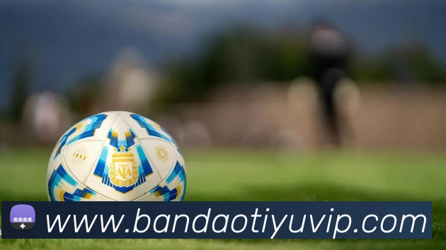 半岛体育APP 封面图